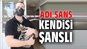 Adı Şans, kendisi şanslı