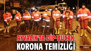 Ayvalık'ta dip bucak korona temizliği
