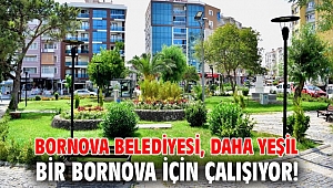 Bornova Belediyesi, Daha yeşil bir Bornova için çalışıyor!