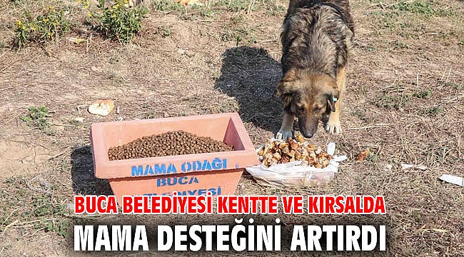 Buca Belediyesi kentte ve kırsalda mama desteğini artırdı
