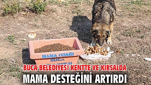 Buca Belediyesi kentte ve kırsalda mama desteğini artırdı 