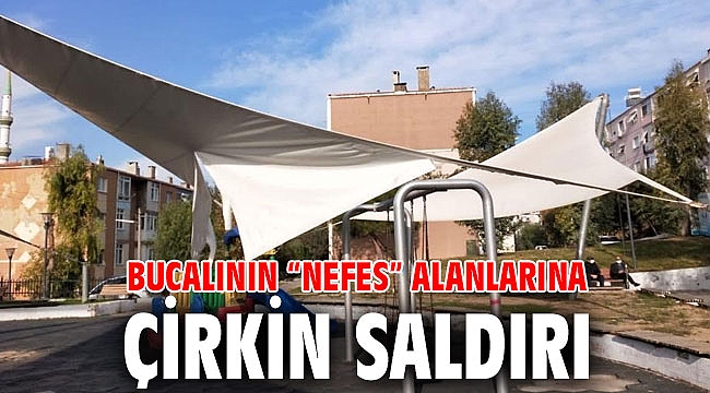 Bucalının