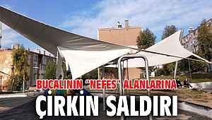 Bucalının 