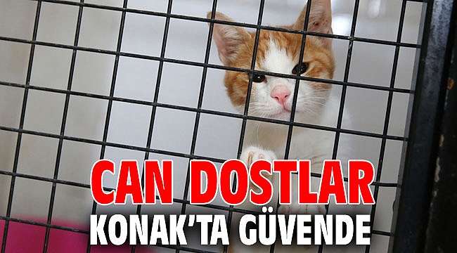 Can dostlar Konak’ta güvende