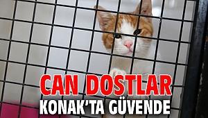 Can dostlar Konak’ta güvende