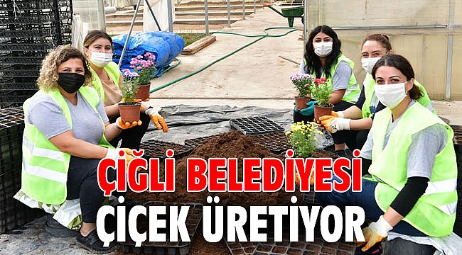 Çiğli Belediyesi, çiçek üretiyor