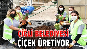Çiğli Belediyesi, çiçek üretiyor