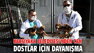 Karşıyaka Belediyesi'nden can dostlar için dayanışma