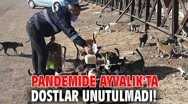 Pandemide Ayvalık'ta dostlar unutulmadı!