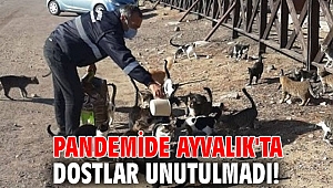 Pandemide Ayvalık'ta dostlar unutulmadı! 