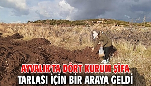 Ayvalık'ta dört kurum şifa tarlası için bir araya geldi