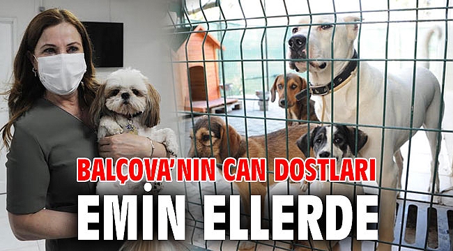 Balçova’nın can dostları emin ellerde