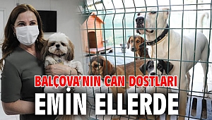 Balçova’nın can dostları emin ellerde