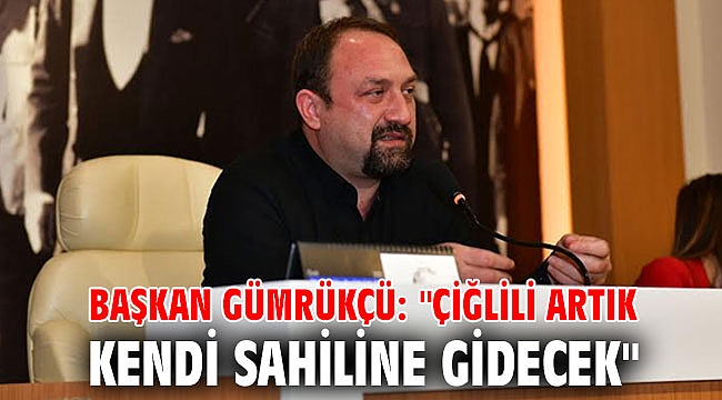 Başkan Gümrükçü: