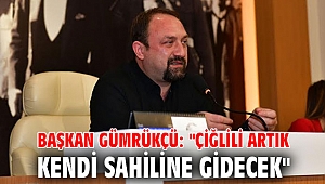 Başkan Gümrükçü: 