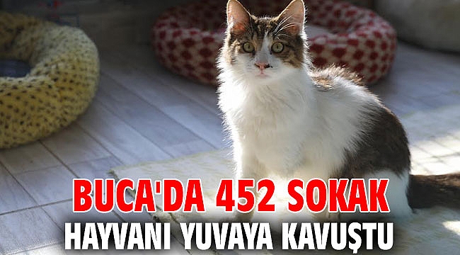Başkan Kılıç: “Hayatınıza sadık bir dost katın”