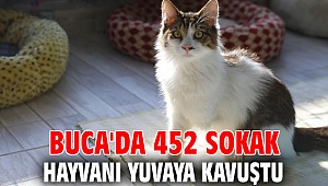 Başkan Kılıç: “Hayatınıza sadık bir dost katın”