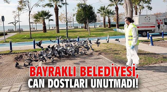 Bayraklı Belediyesi, can dostları unutmadı!
