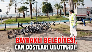 Bayraklı Belediyesi, can dostları unutmadı!