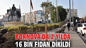 Bornova'da 2 yılda 16 bin fidan dikildi