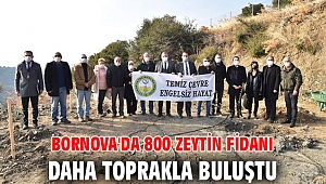 Bornova'da 800 zeytin fidanı daha toprakla buluştu