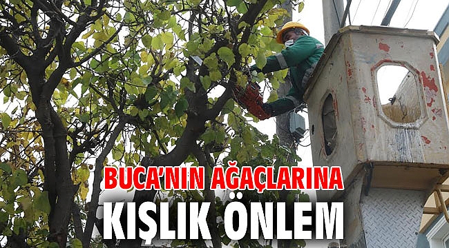 Buca’nın ağaçlarına kışlık önlem