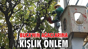 Buca’nın ağaçlarına kışlık önlem 