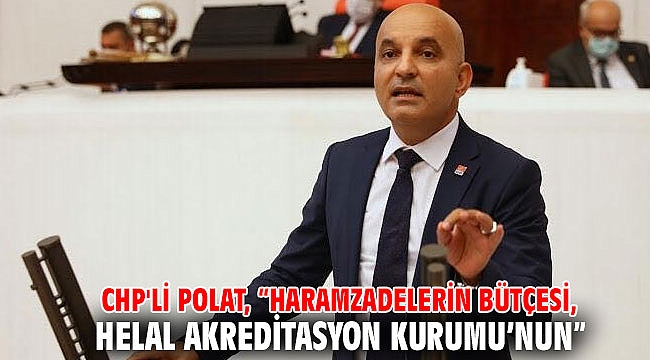 CHP'li Polat, “Haramzadelerin bütçesi, Helal Akreditasyon Kurumu’nun”