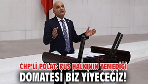 CHP'li Polat: Rus halkının yemediği domatesi biz yiyeceğiz!