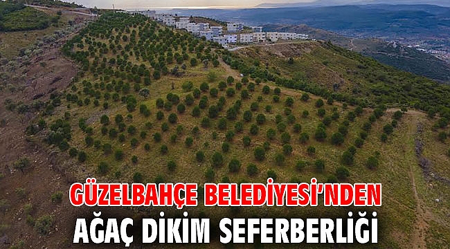 Güzelbahçe Belediyesi’nden Ağaç Dikim Seferberliği