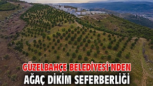 Güzelbahçe Belediyesi’nden Ağaç Dikim Seferberliği