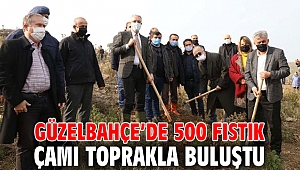 Güzelbahçe’de 500 Fıstık Çamı dikildi!