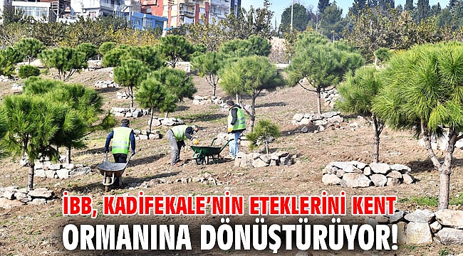 İBB, Kadifekale’nin eteklerini kent ormanına dönüştürüyor!
