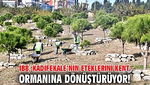 İBB, Kadifekale’nin eteklerini kent ormanına dönüştürüyor!