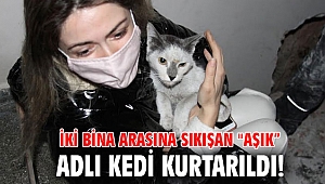 İki bina arasına sıkışan 