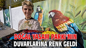 İzmir Büyükşehir Belediyesi Doğal Yaşam Parkı'nın duvarlarına renk geldi