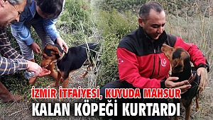 İzmir İtfaiyesi, av köpeğini kurtardı