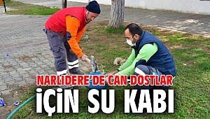 Narlıdere’de can dostlar için su kabı