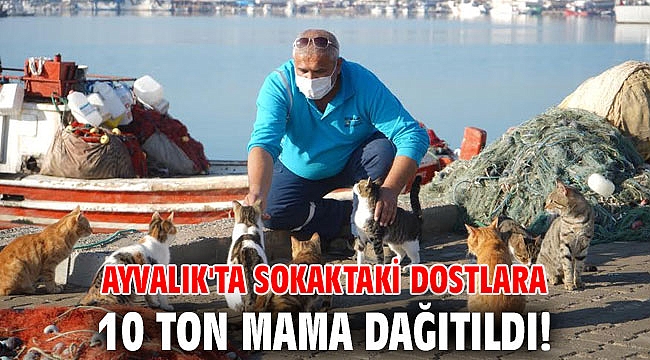 Ayvalık'ta sokaktaki dostlara 10 ton mama dağıtıldı!