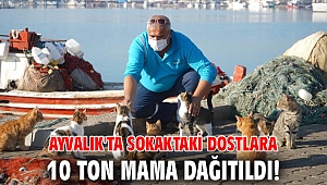 Ayvalık'ta sokaktaki dostlara 10 ton mama dağıtıldı!