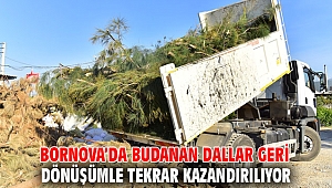 Bornova’da budanan dallar geri dönüşümle tekrar kazandırılıyor