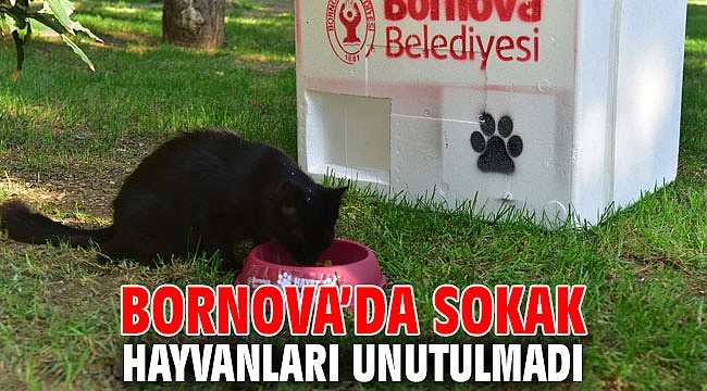 Bornova’da Sokak hayvanları unutulmadı
