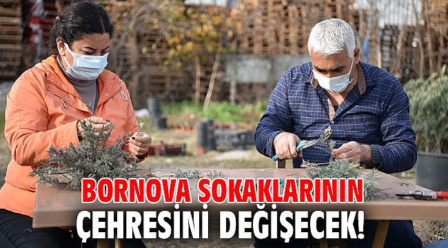 Bornova sokaklarının çehresini değişecek!