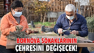 Bornova sokaklarının çehresini değişecek!