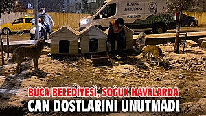 Buca Belediyesi, soğuk havalarda can dostlarını unutmadı