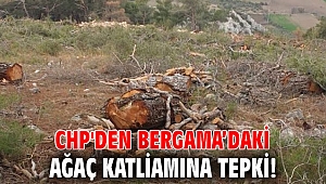 CHP'den Bergama’daki ağaç katliamına tepki!