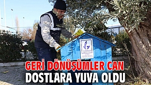 Geri Dönüşümler Can Dostlara Yuva Oldu