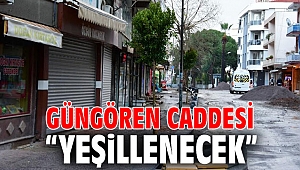 Güngören Caddesi “yeşillenecek”