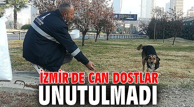 İzmir'de can dostlar unutulmadı