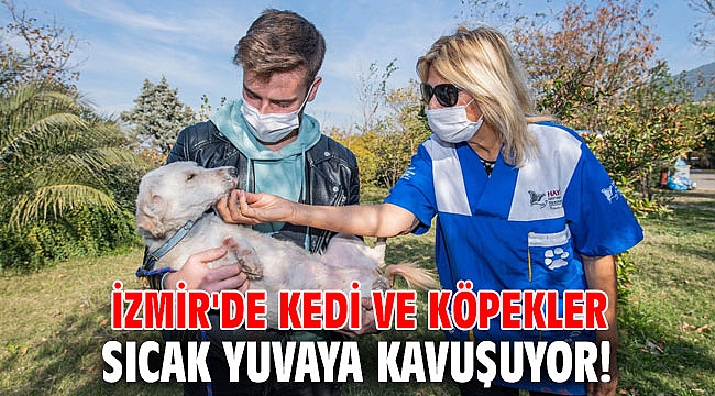 İzmir'de kedi ve köpekler sıcak yuvaya kavuşuyor!